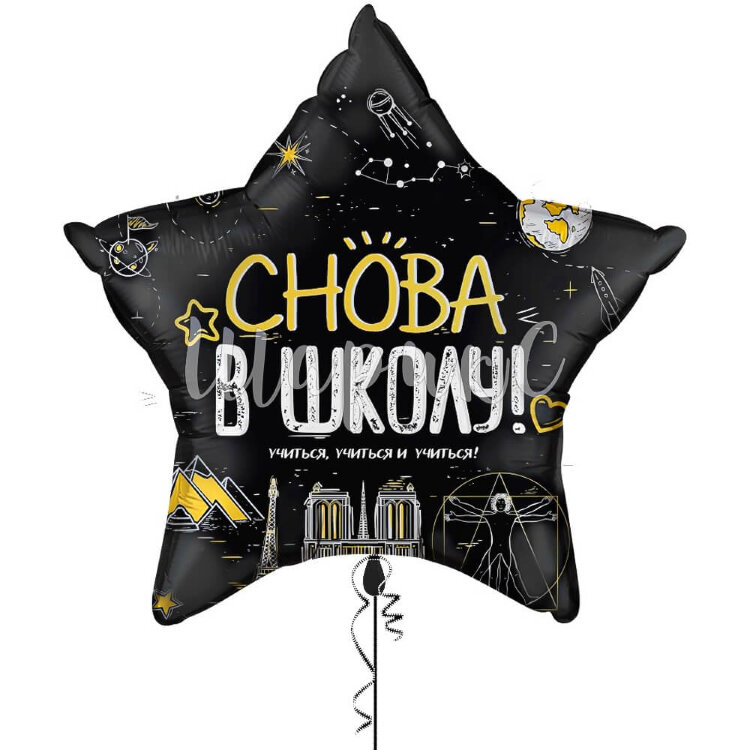 Звезда, Снова в Школу - 46 см